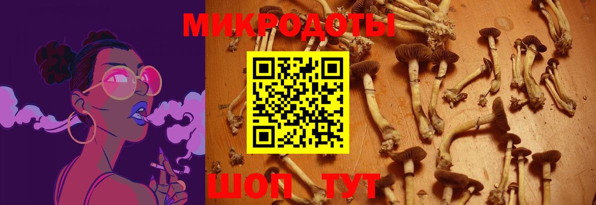 Качканар  Галлюциногенные грибы Magic Shrooms  Вход с VPN  Псилоцибиновые грибы мицелий 